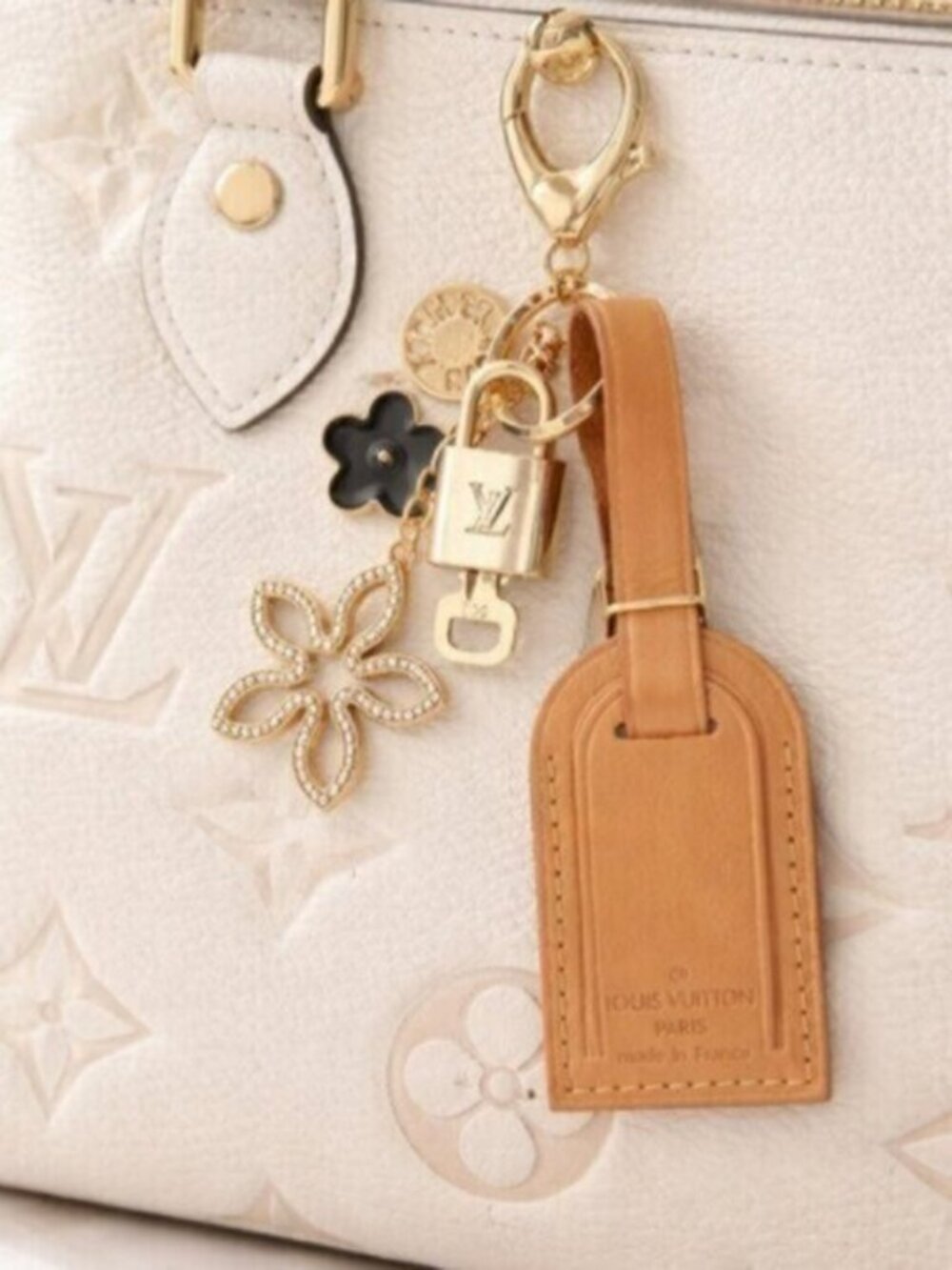 Authentic Louis Vuitton Luggage Nametag and Gold Padlock with Unbranded Keycharm
